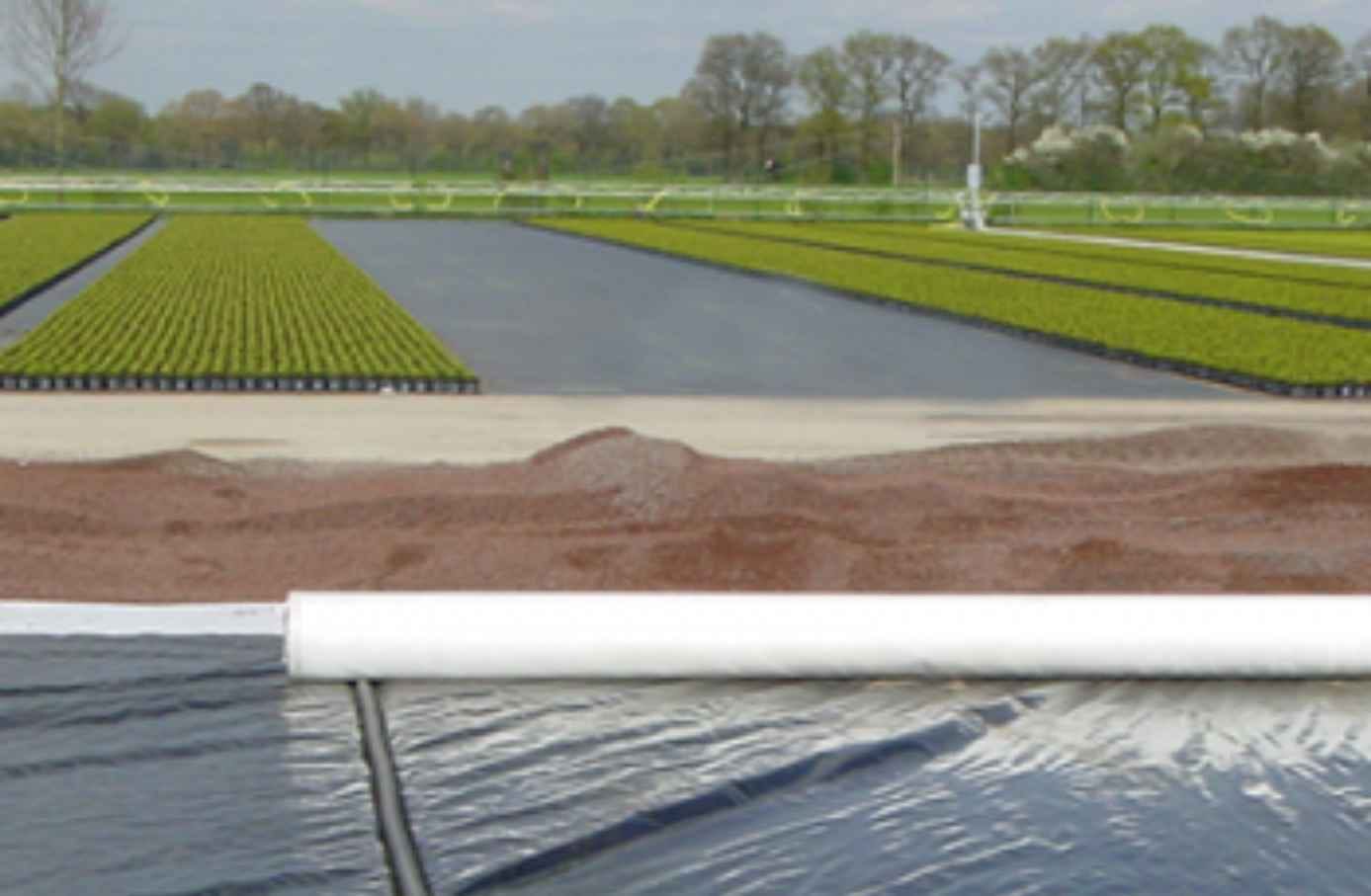 Knuiman X Marketingkenners